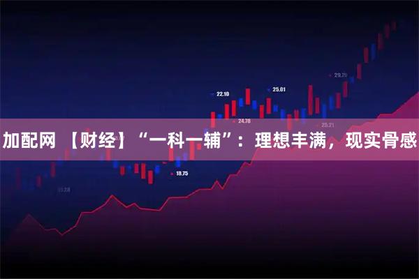 加配网 【财经】“一科一辅”：理想丰满，现实骨感