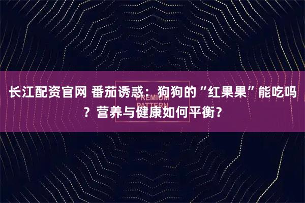 长江配资官网 番茄诱惑:狗狗的“红果果”能吃吗?营养与健康如何平衡?
