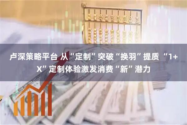 卢深策略平台 从“定制”突破“换羽”提质 “1+X”定制体验激发消费“新”潜力
