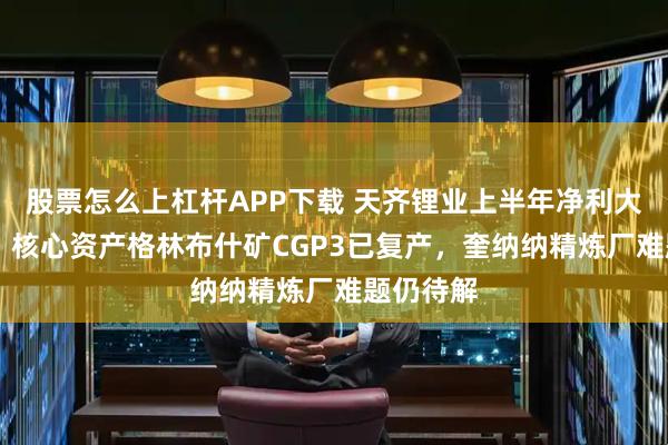 股票怎么上杠杆APP下载 天齐锂业上半年净利大增49倍，核心资产格林布什矿CGP3已复产，奎纳纳精炼厂难题仍待解